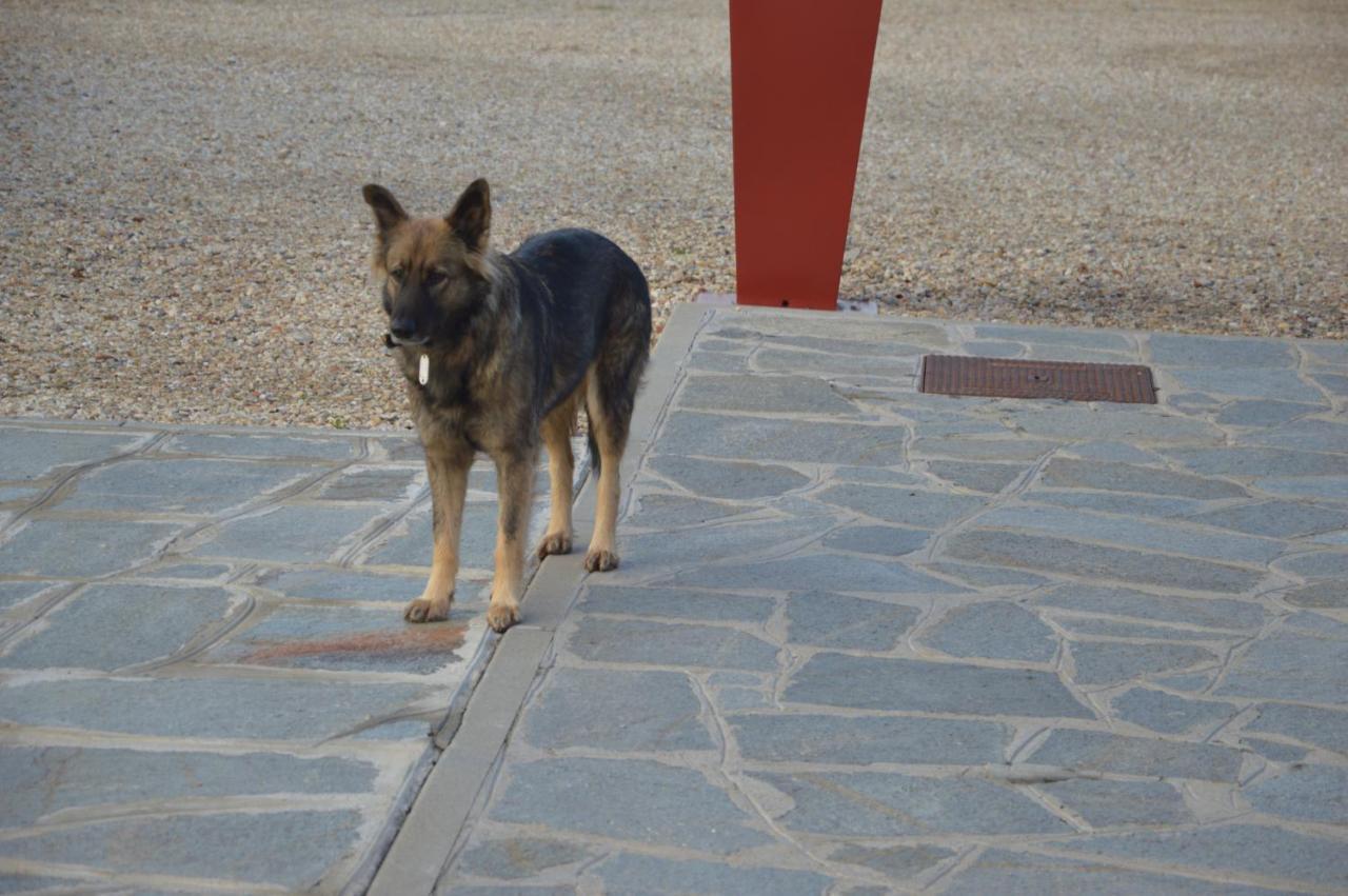 Il Poggio Agrisport Βίλα Poirino Εξωτερικό φωτογραφία